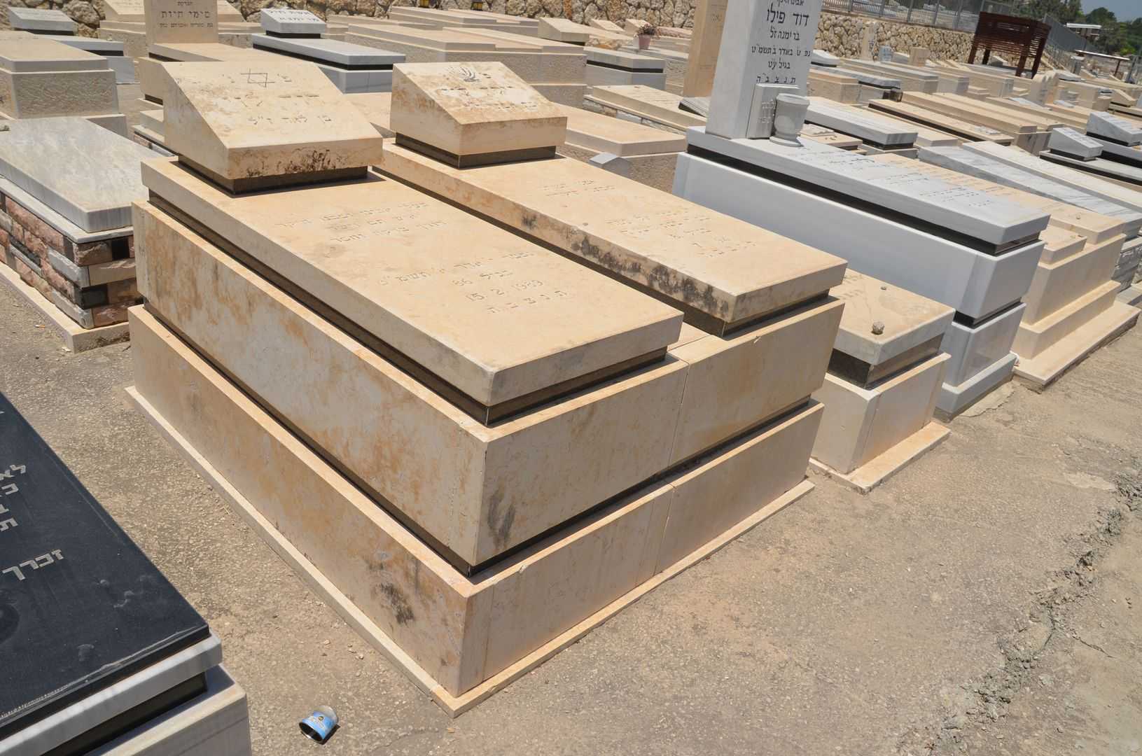 קברו של דוד לוי