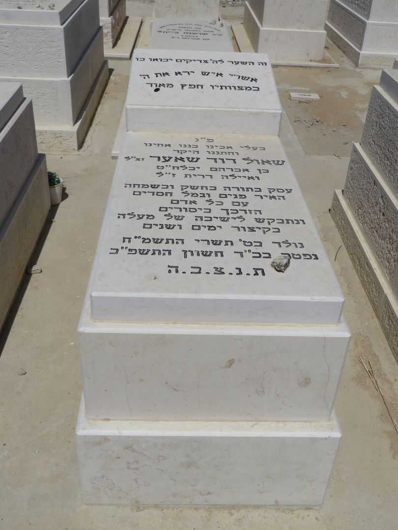 קברו של שאול דוד שאער