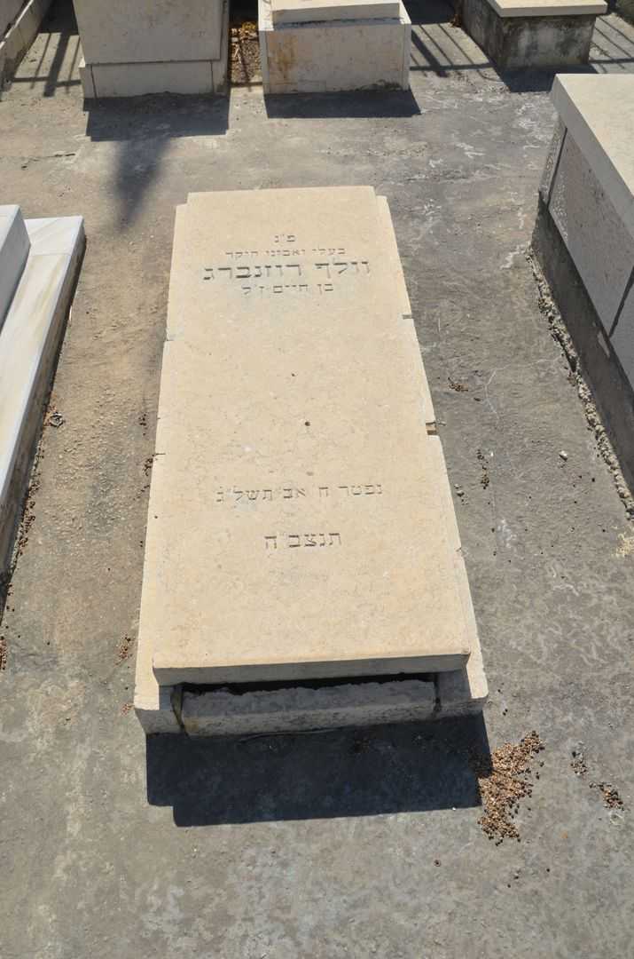 קברו של וולך רוזנברג