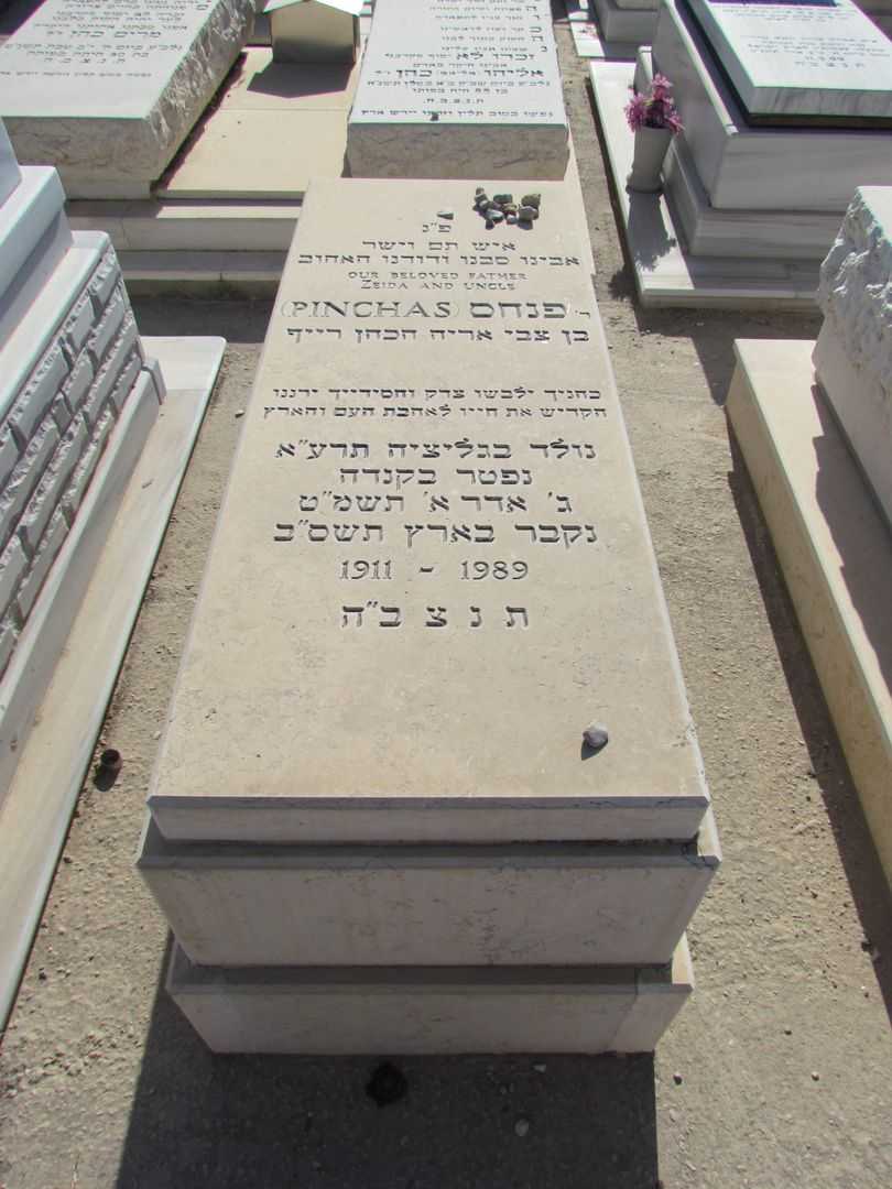 קברו של פנחס הכהן רייף