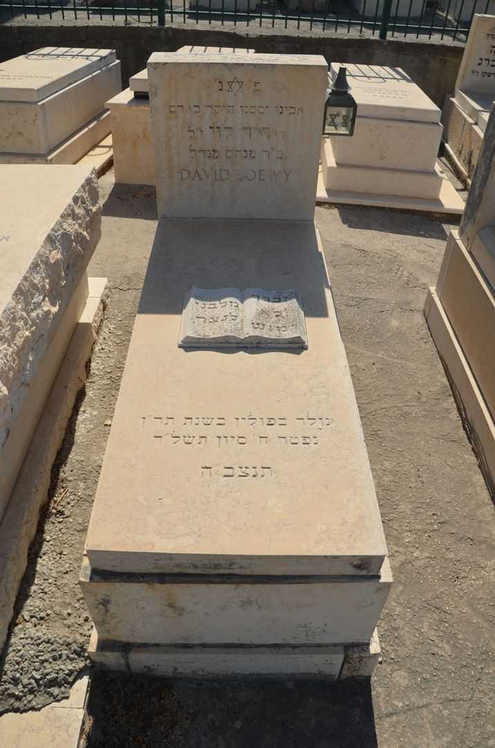 קברו של דוד לוי