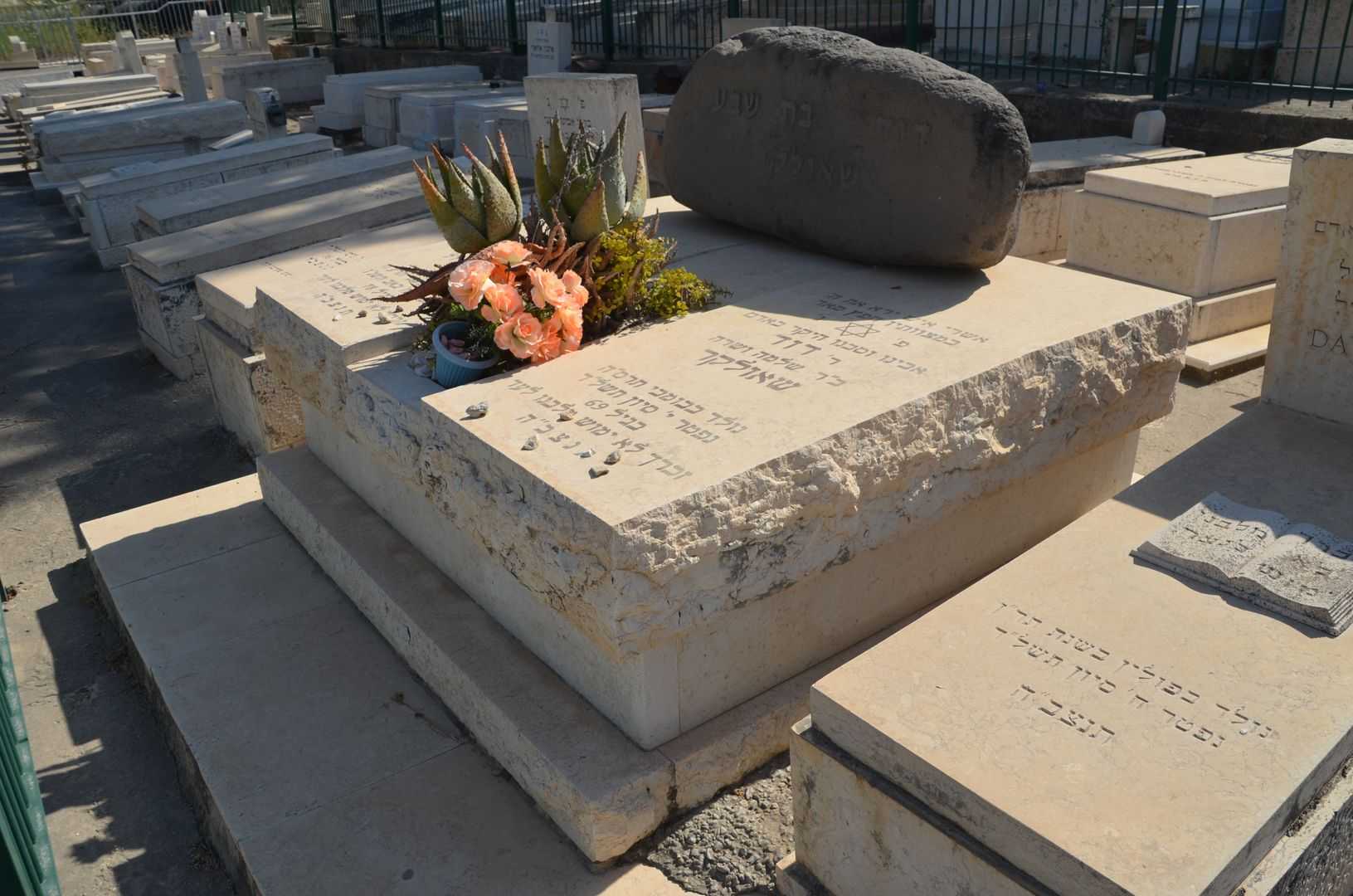 קברו של דוד שאולקר