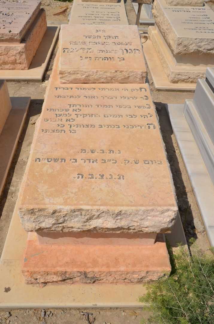 קברו של חנניה מדינה