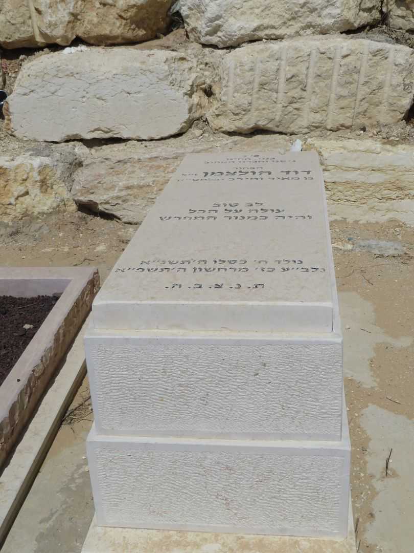 קברו של דוד הולצמן