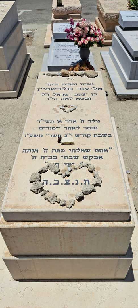 קברו של אליעזר לורנס גולדשטיין