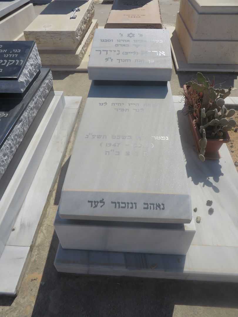 קברו של אריה  לייב ניידר
