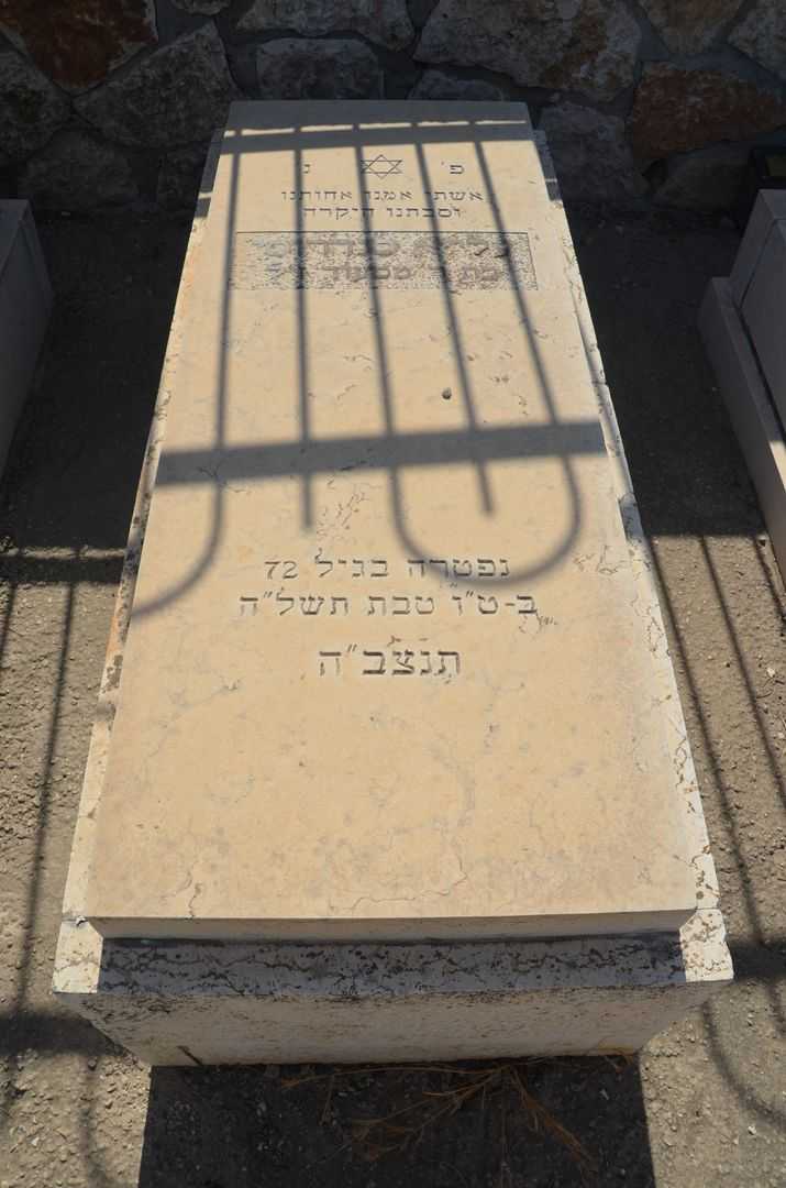 קברו של עלייא סנדרוסי