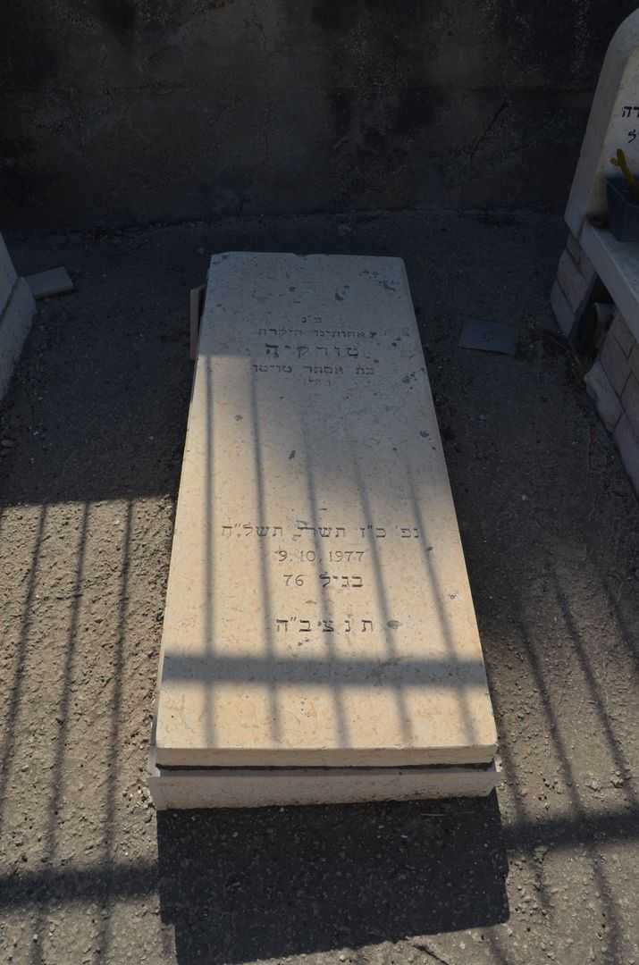 קברו של טורקיה טויטו