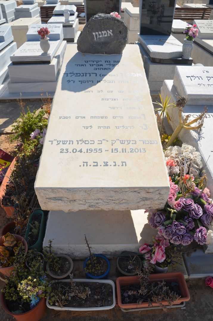 קברו של אמנון אברהם רוזנפלד