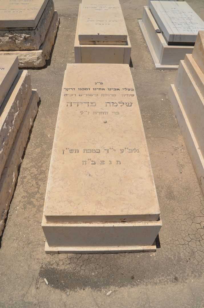 קברו של שלמה פדידה