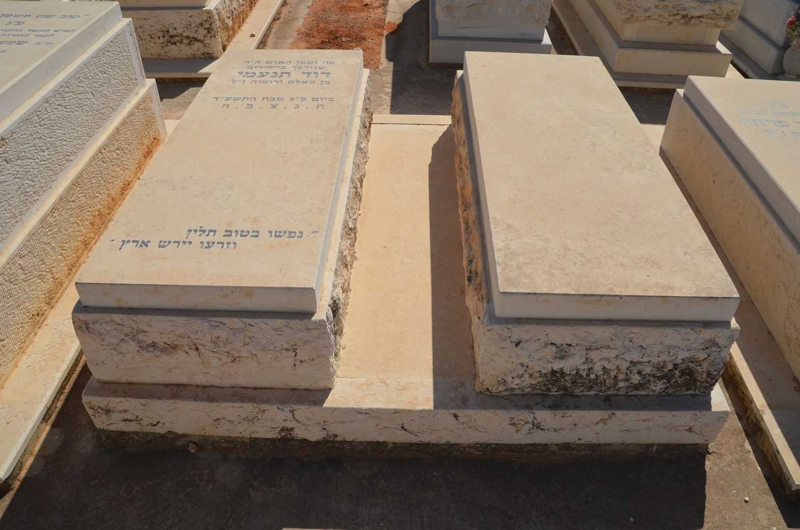 קברו של דוד תנעמי