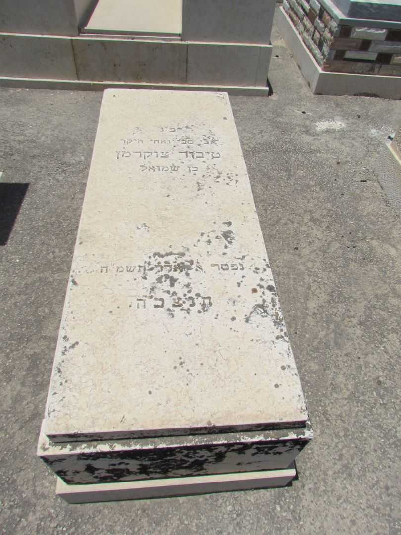קברו של טיבור צוקרמן