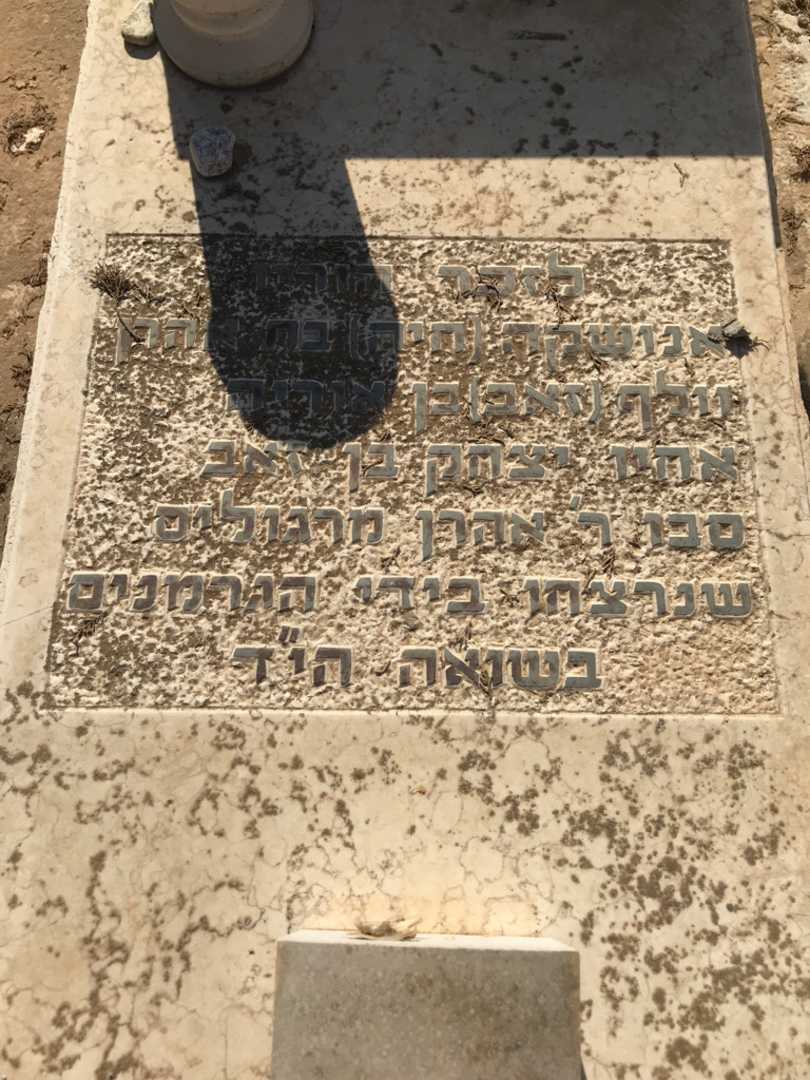 קברו של אהרן מרגוליס. תמונה 3