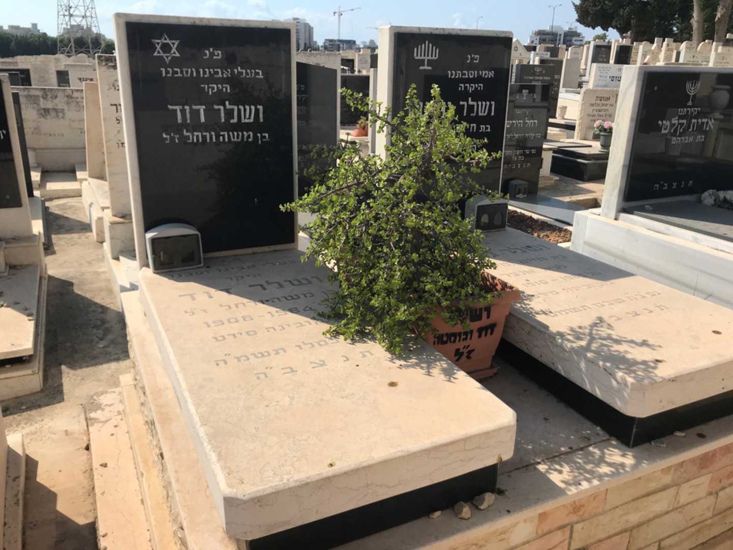 קברו של דוד ושלר. תמונה 1