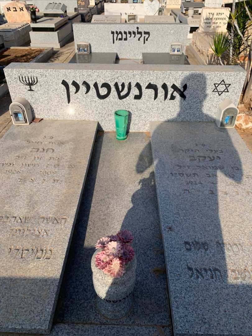 קברו של חנה אורנשטיין. תמונה 1