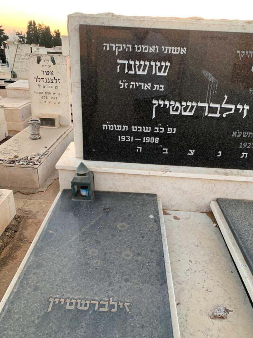 קברו של שושנה זילברשטיין. תמונה 2