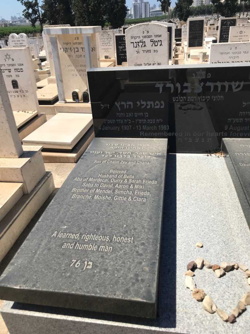 קברו של נפתלי הרץ שוורצבורד. תמונה 2