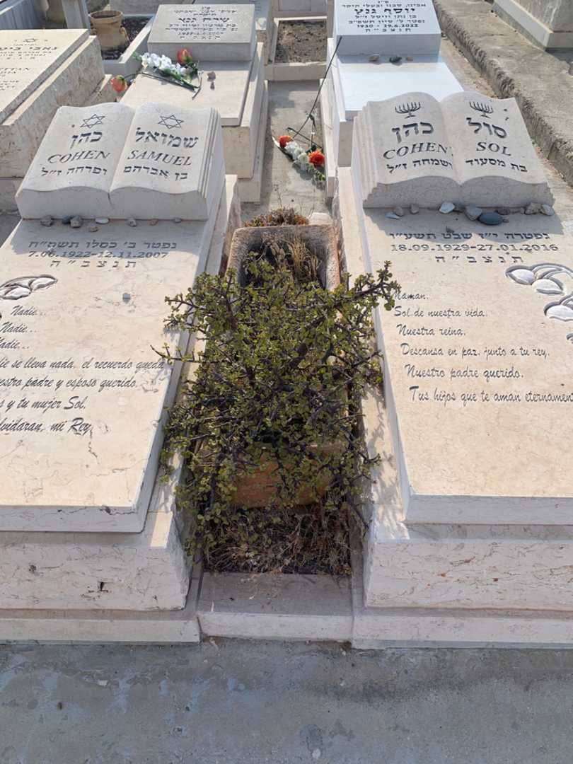 קברו של סול כהן. תמונה 1