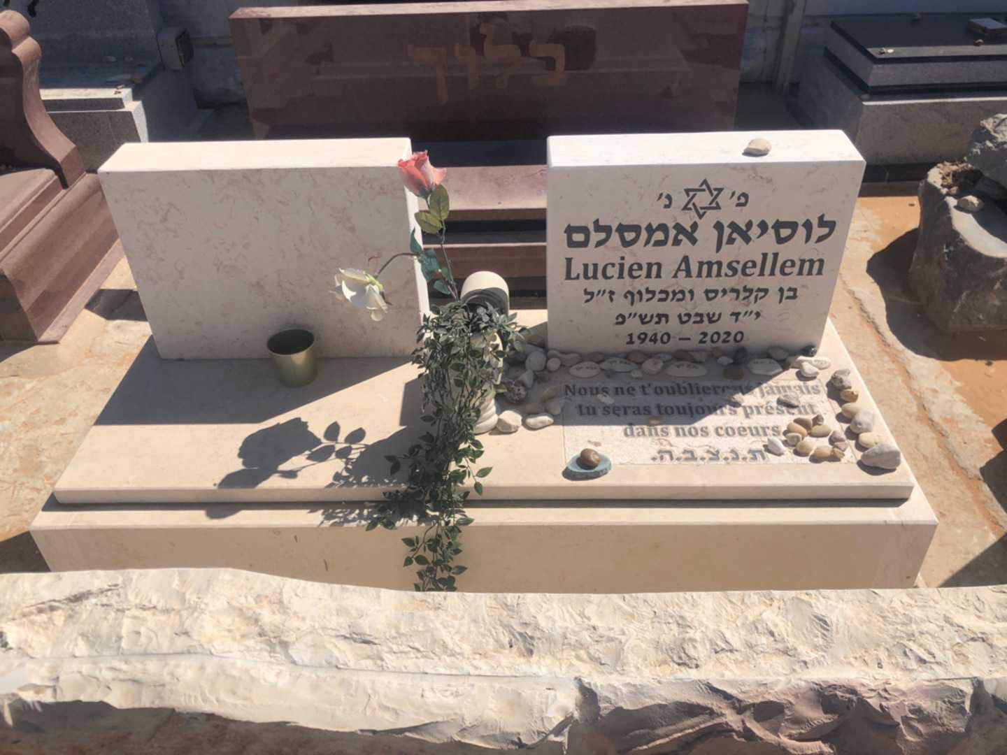 קברו של לוסיאן אמסלם. תמונה 2