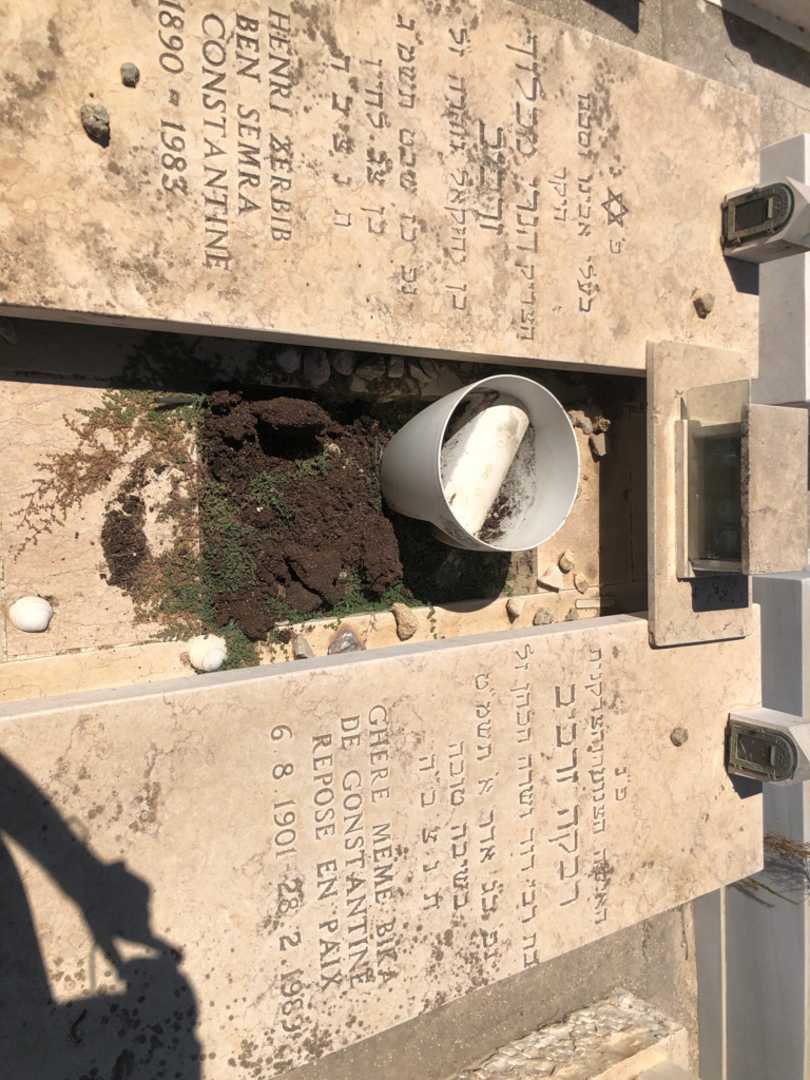 קברו של רבקה "BIKA" זרביב. תמונה 2