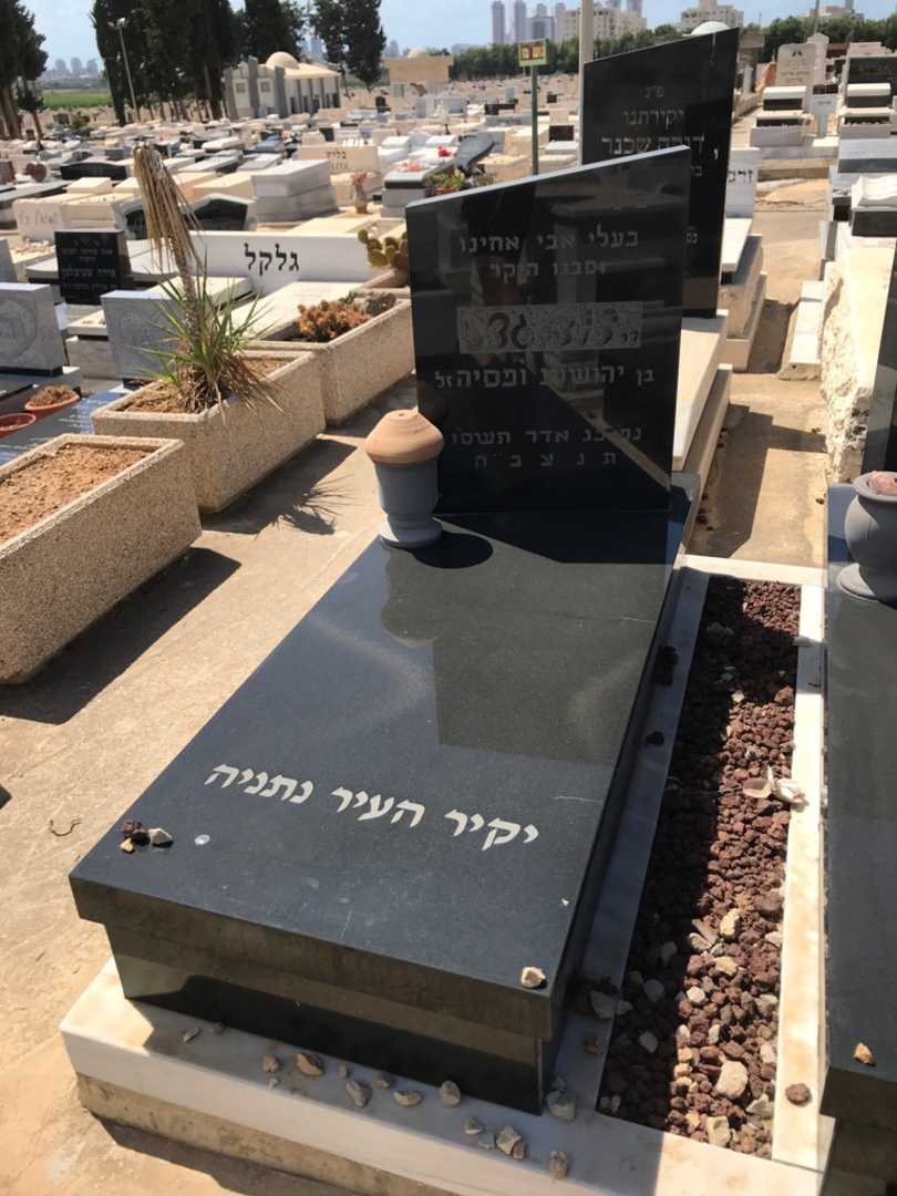 קברו של דוד גדני. תמונה 2