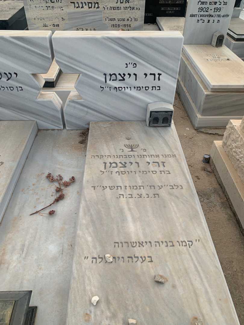 קברו של זרי ויצמן. תמונה 2