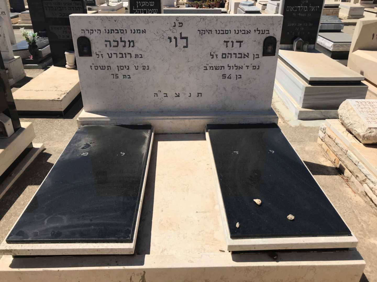 קברו של דוד לוי. תמונה 1