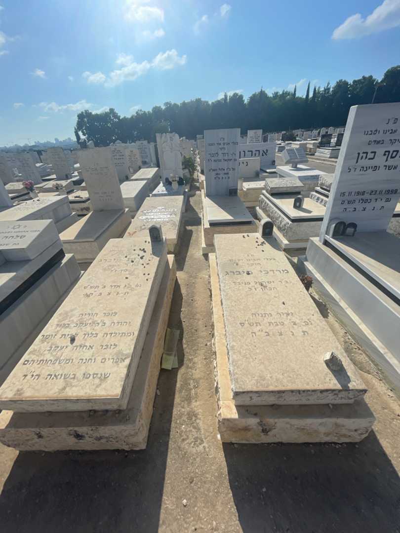קברו של יהודית מיברג. תמונה 1