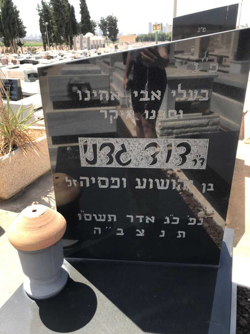 קברו של דוד גדני. תמונה 3