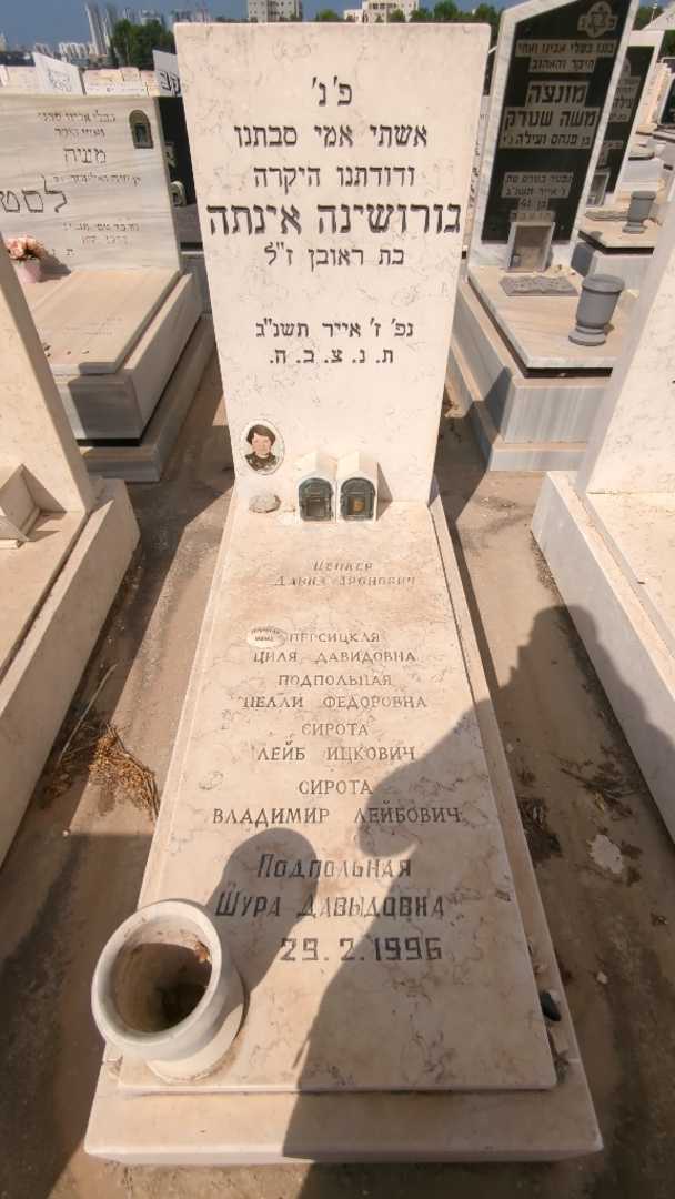 קברו של לייב סירוטה