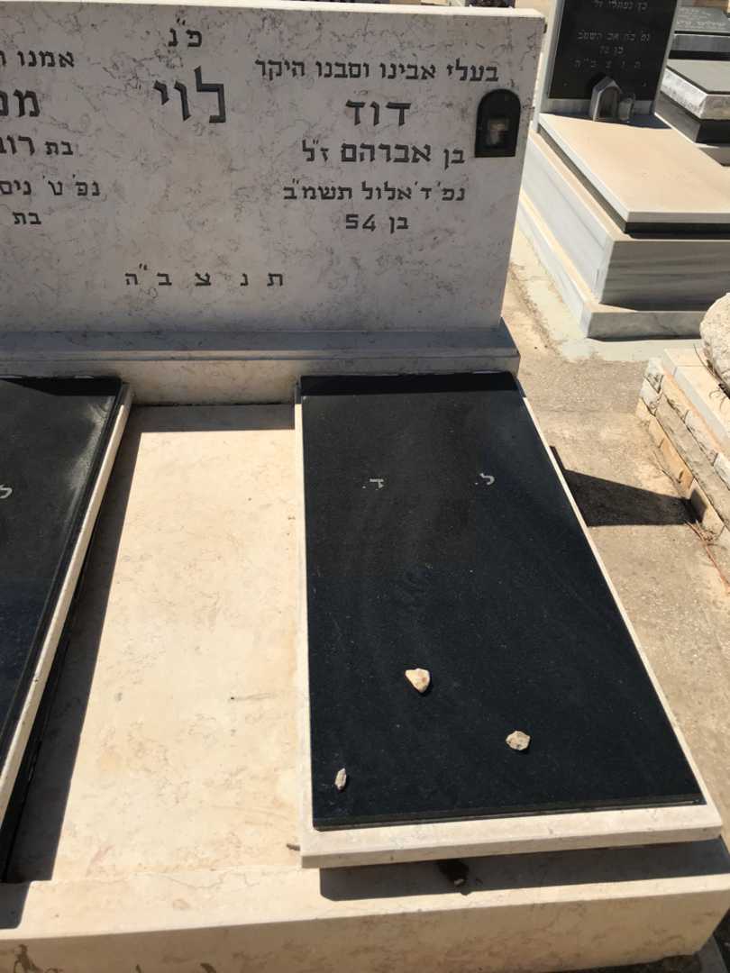 קברו של דוד לוי. תמונה 2