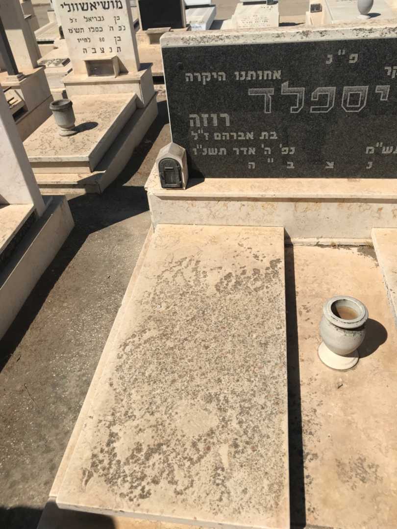 קברו של רוזה וייספלד. תמונה 2