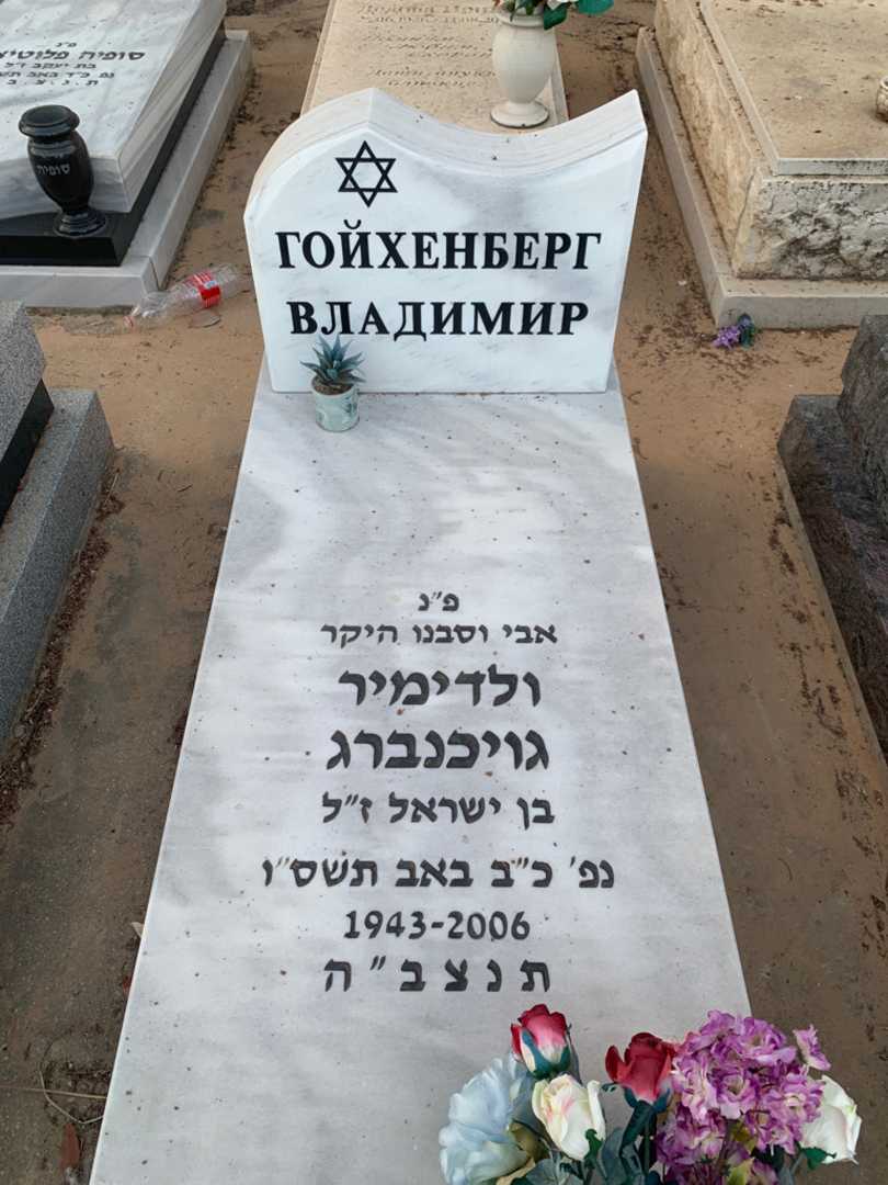 קברו של ולדימיר גויכנברג