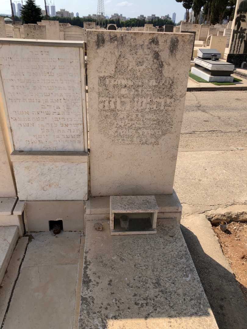 קברו של רוזה פרקש. תמונה 1