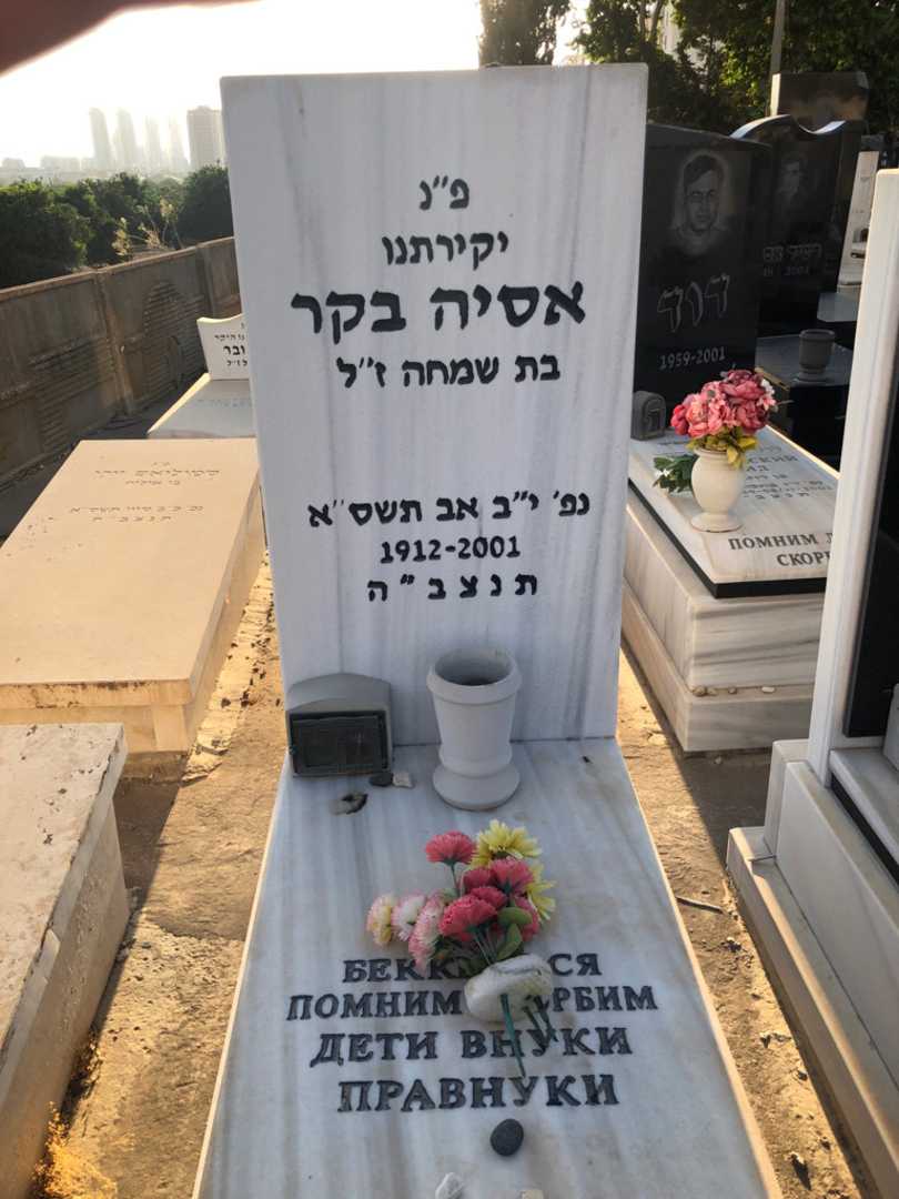 קברו של אסיה בקר. תמונה 1