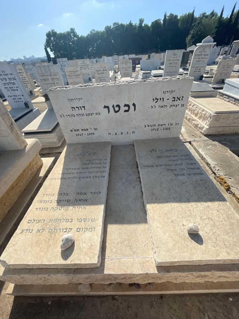 קברו של דורה וכטר. תמונה 1