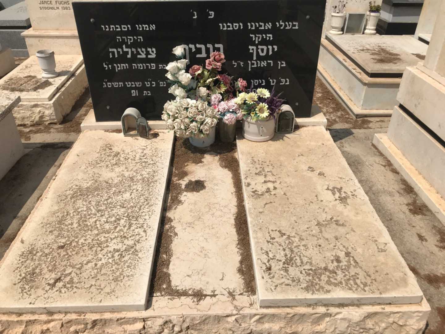 קברו של צציליה רובין. תמונה 1