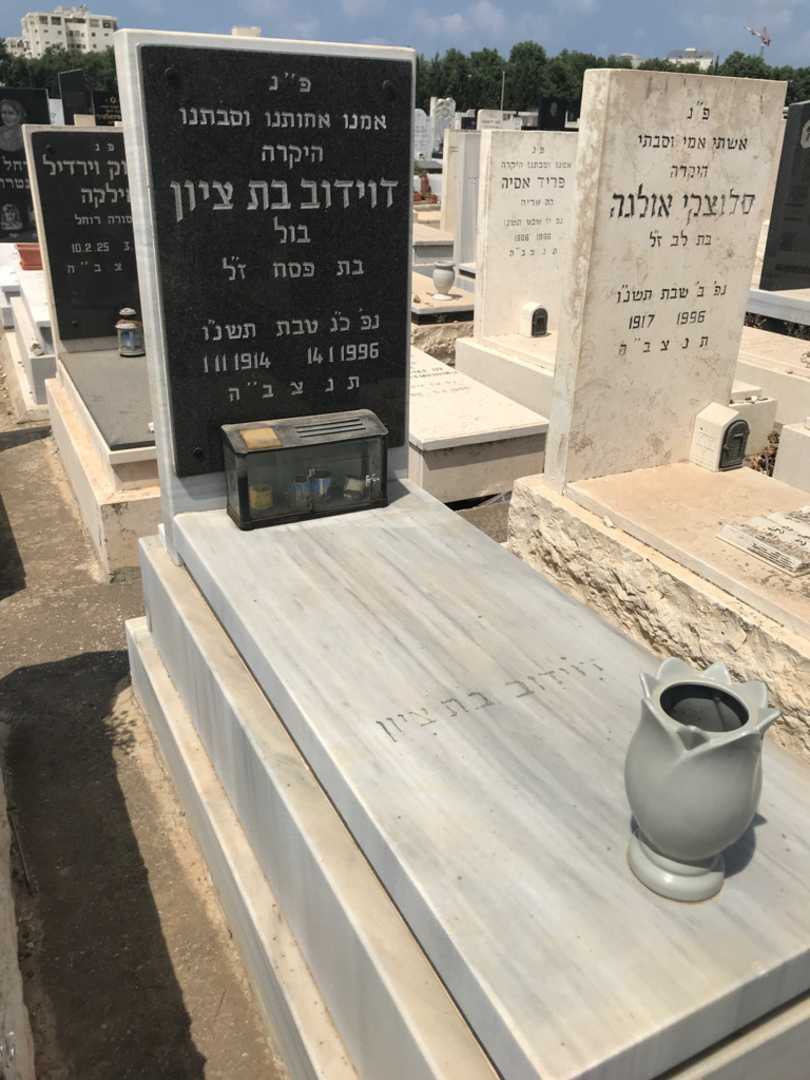 קברו של דוידוב בת ציון