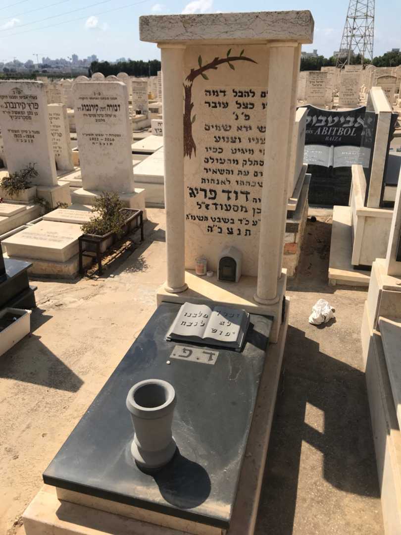 קברו של דוד פריג'. תמונה 1