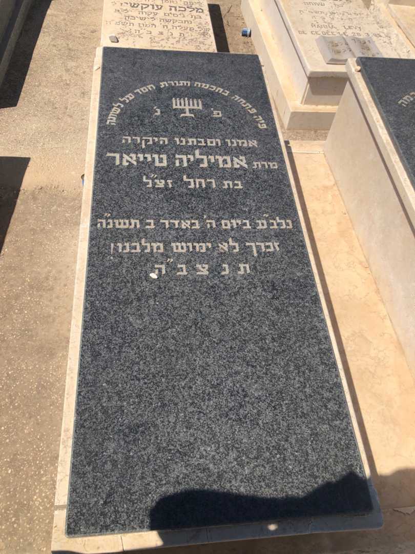 קברו של אמיליה טייאר. תמונה 1
