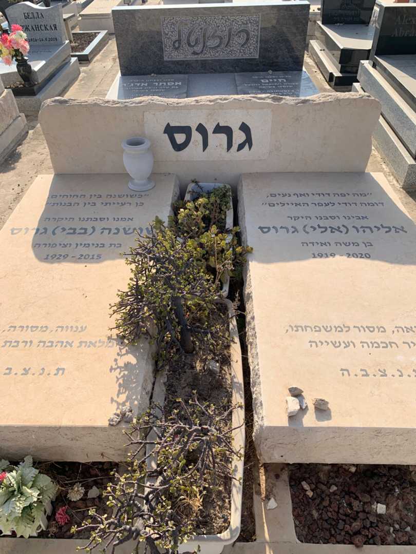 קברו של אליהו אלי גרוס. תמונה 1