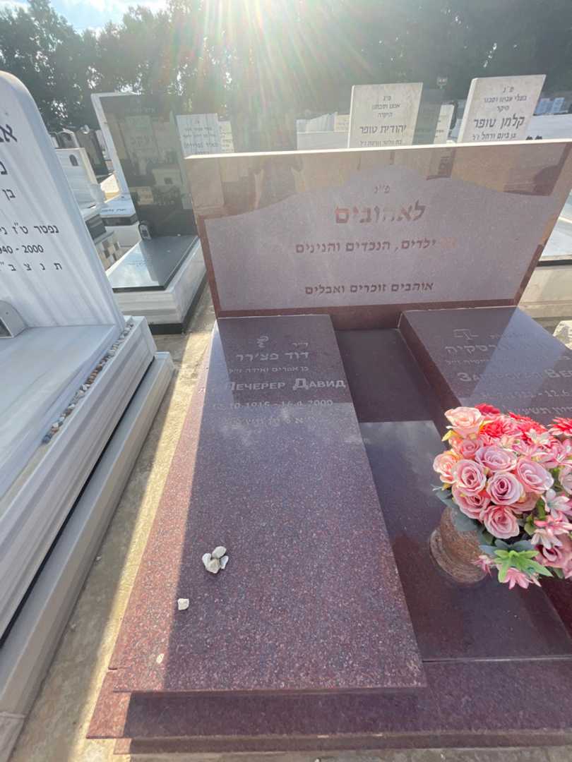 קברו של דוד פצ'ררר לאהובים. תמונה 2