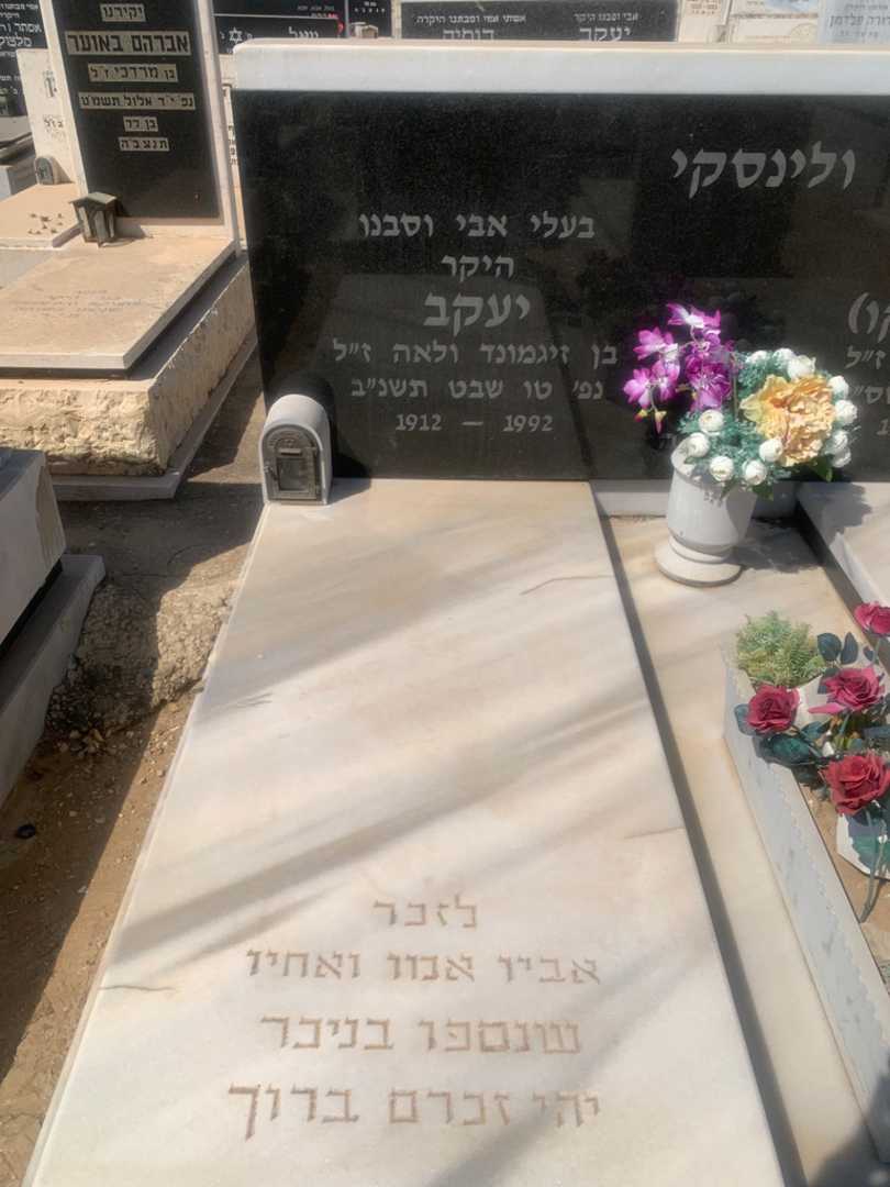 קברו של יעקב ולינסקי. תמונה 2