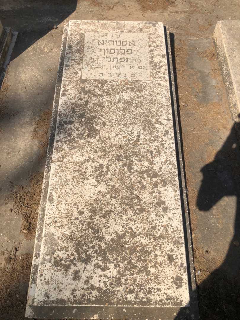 קברו של אסטריא פלוסוף. תמונה 1