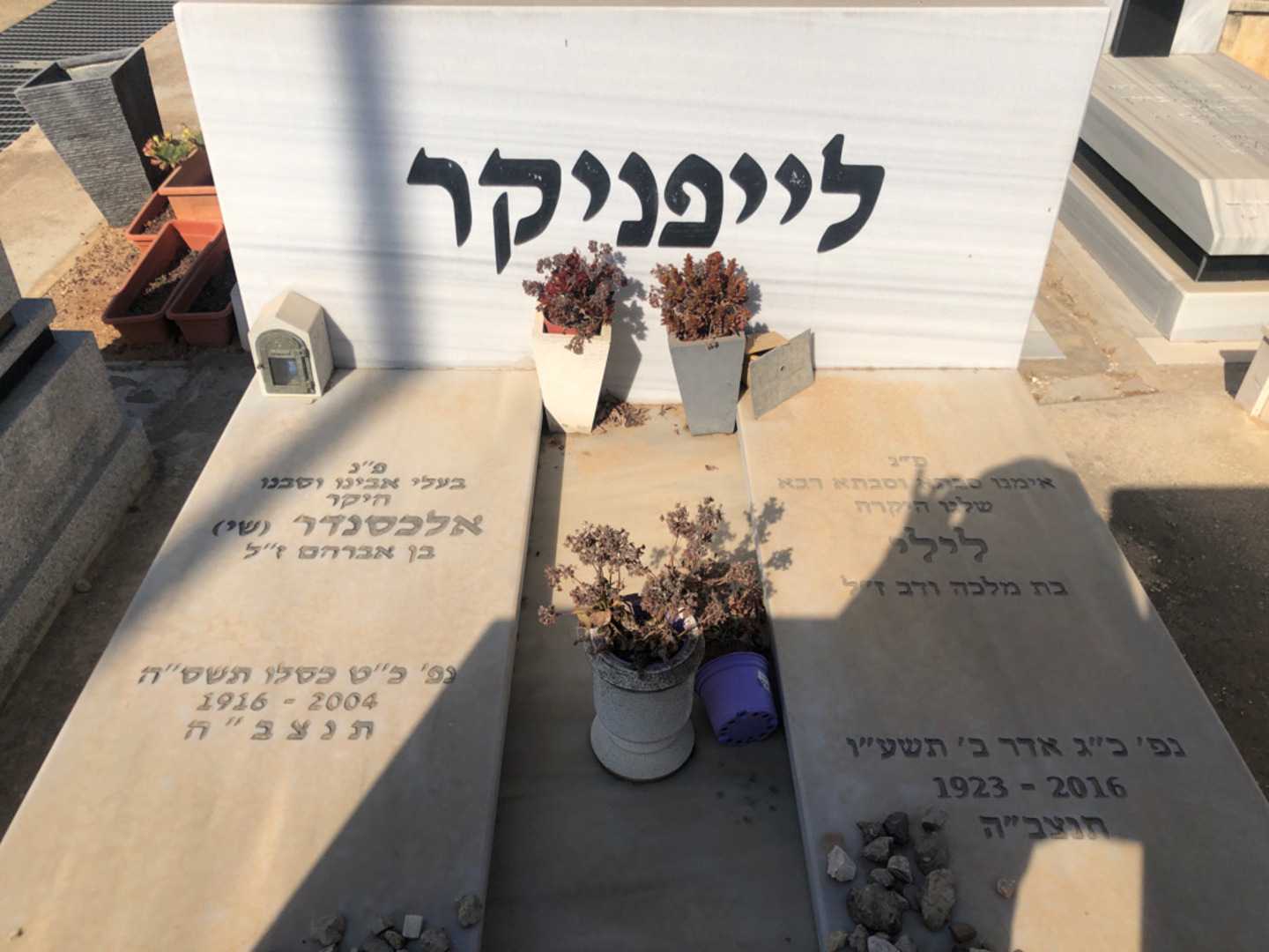 קברו של אלכסנדר "שי" לייפניקר. תמונה 2