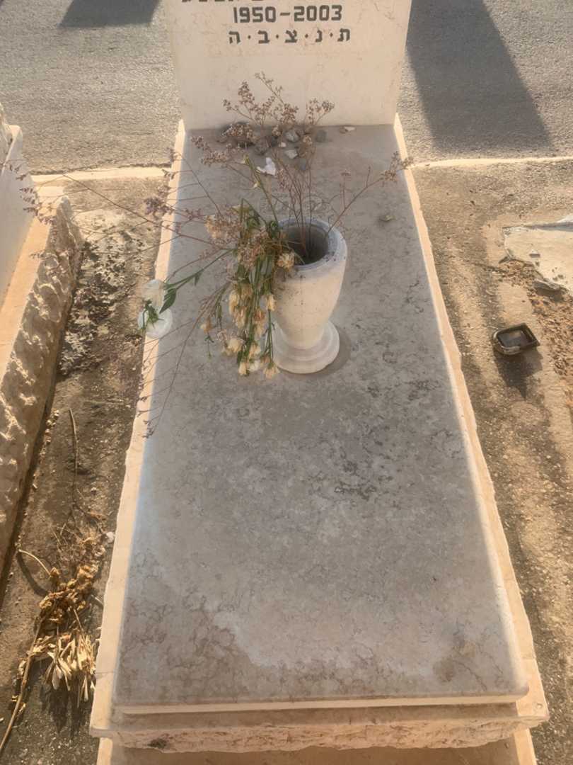 קברו של רחל ריבלין. תמונה 2