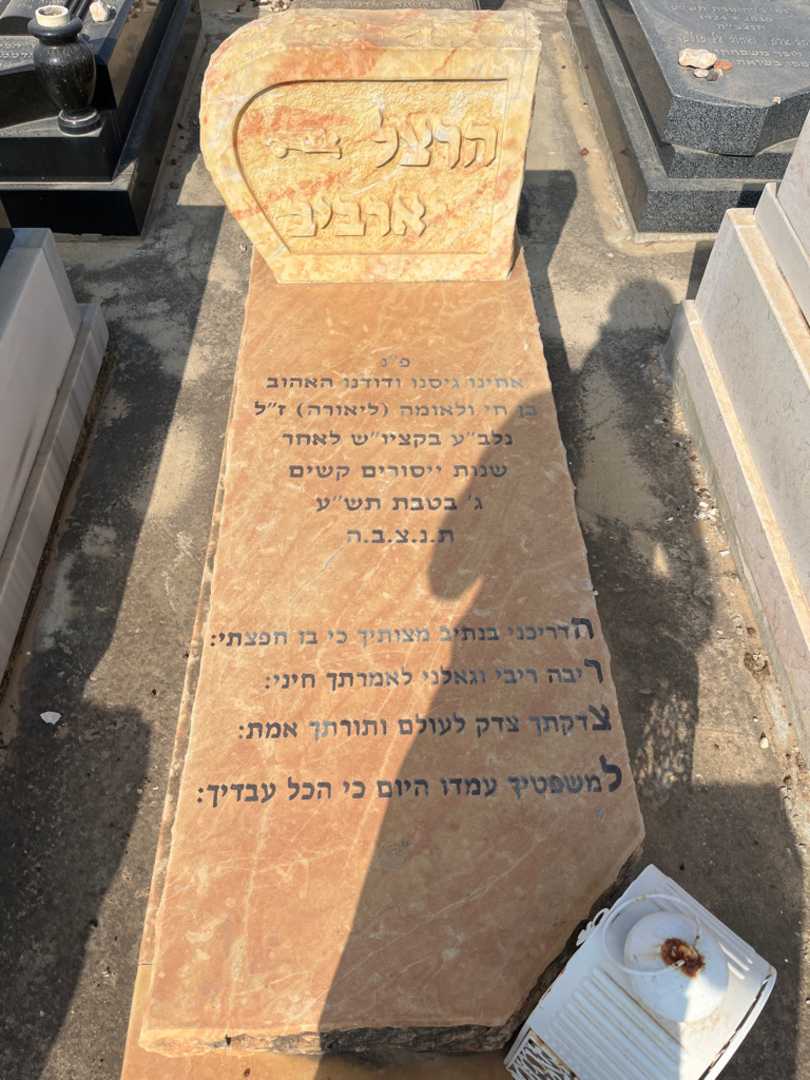 קברו של הרצל ארביב