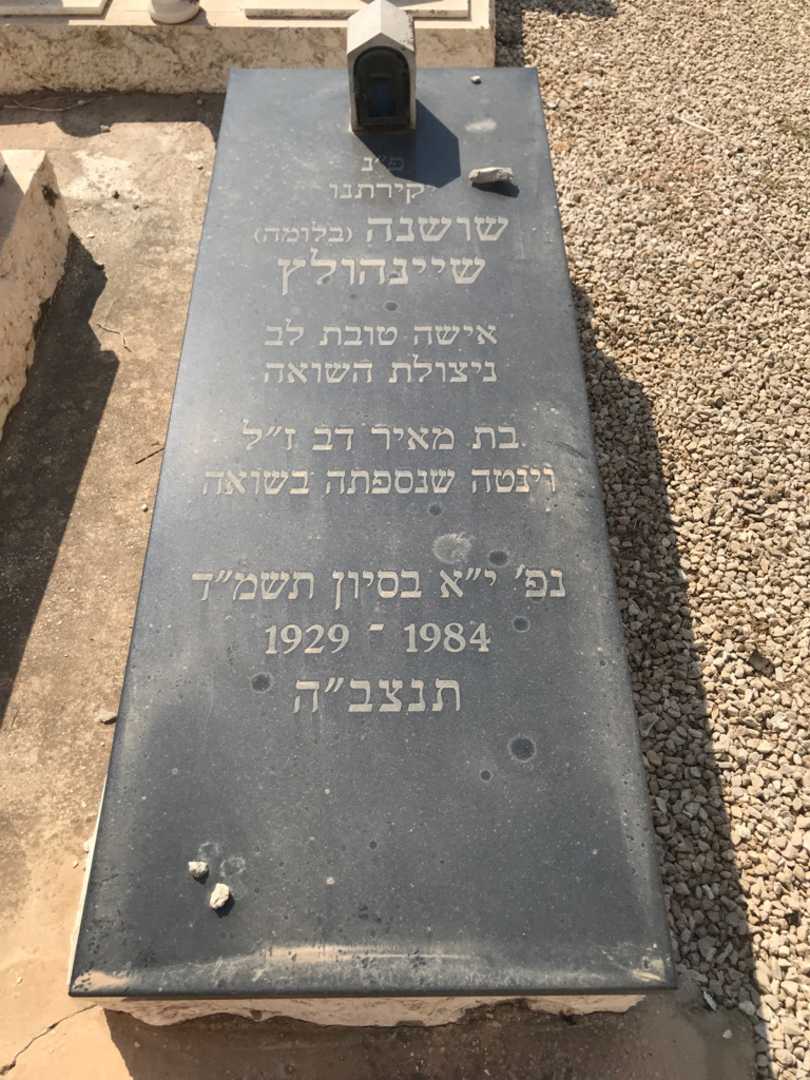 קברו של שושנה "בלומה" שיינהולץ