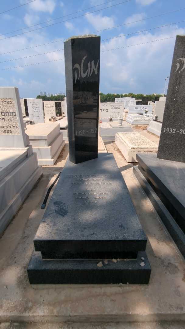 קברו של מרדכי מוטה רון-נס