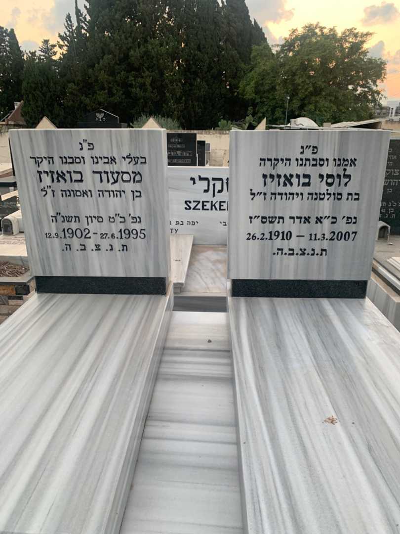 קברו של לוסי בואזיז. תמונה 1